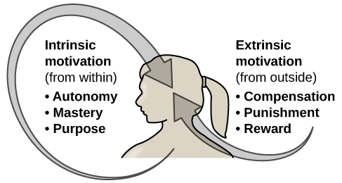 Motivation psychology